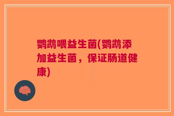鹦鹉喂益生菌(鹦鹉添加益生菌，保证肠道健康)