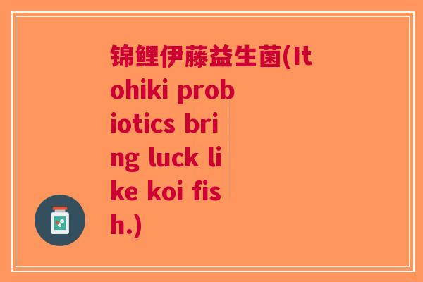 锦鲤伊藤益生菌(Itohiki probiotics bring luck like koi fish.)