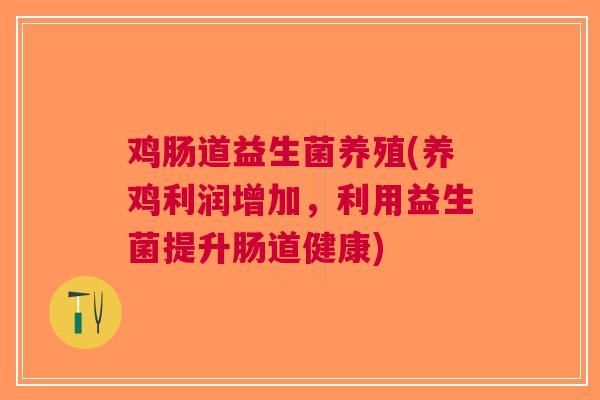 鸡肠道益生菌养殖(养鸡利润增加,利用益生菌提升肠道健康)