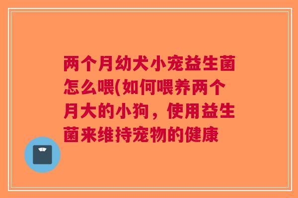两个月幼犬小宠益生菌怎么喂(如何喂养两个月大的小狗,使用益生菌来维持宠物的健康