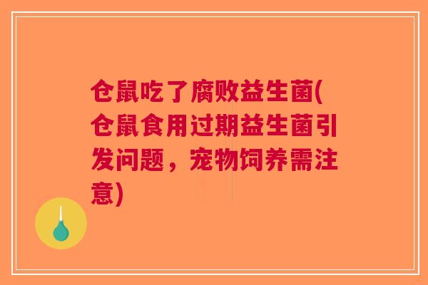 仓鼠吃了腐败益生菌(仓鼠食用过期益生菌引发问题,宠物饲养需注意) 仓鼠吃了腐败益生菌(仓鼠食用过期益生菌引发问题,宠物饲养需注意)