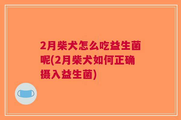 2月柴犬怎么吃益生菌呢(2月柴犬如何正确摄入益生菌)