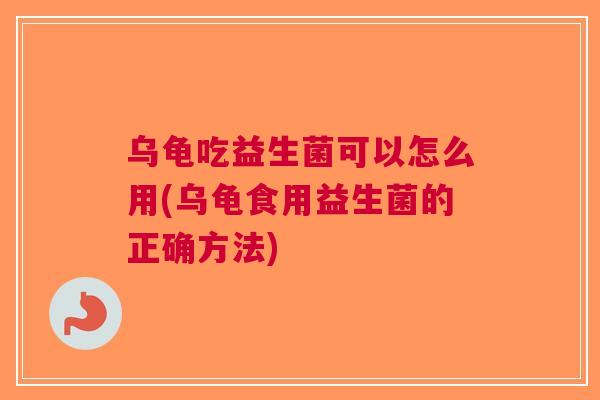 乌龟吃益生菌可以怎么用(乌龟食用益生菌的正确方法)