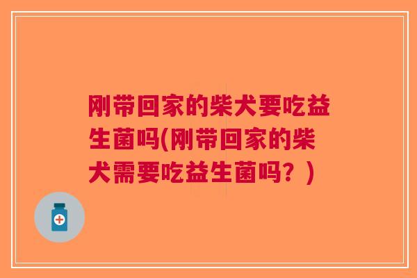 刚带回家的柴犬要吃益生菌吗(刚带回家的柴犬需要吃益生菌吗?) 刚带回家的柴犬要吃益生菌吗(刚带回家的柴犬需要吃益生菌吗?)