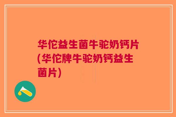 华佗益生菌牛驼奶钙片(华佗牌牛驼奶钙益生菌片) 华佗益生菌牛驼奶钙片(华佗牌牛驼奶钙益生菌片)