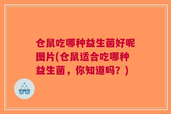 仓鼠吃哪种益生菌好呢图片(仓鼠适合吃哪种益生菌，你知道吗？)
