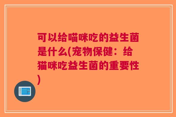 可以给喵咪吃的益生菌是什么(宠物保健:给猫咪吃益生菌的重要性)