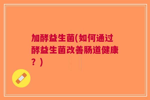 加酵益生菌(如何通过酵益生菌改善肠道健康?) 加酵益生菌(如何通过酵益生菌改善肠道健康?)