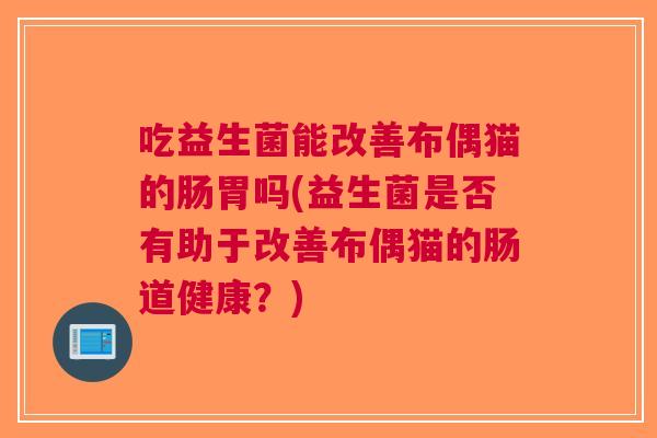 吃益生菌能改善布偶猫的肠胃吗(益生菌是否有助于改善布偶猫的肠道健康?)