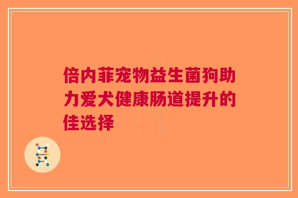 倍内菲宠物益生菌狗助力爱犬健康肠道提升的佳选择