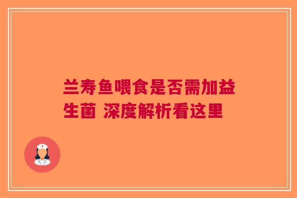兰寿鱼喂食是否需加益生菌 深度解析看这里