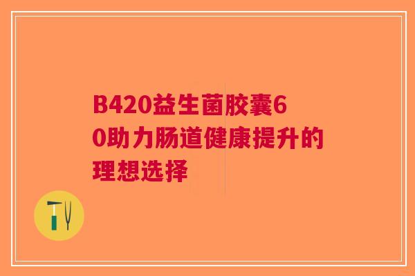 B420益生菌胶囊60助力肠道健康提升的理想选择 B420益生菌胶囊60助力肠道健康提升的理想选择