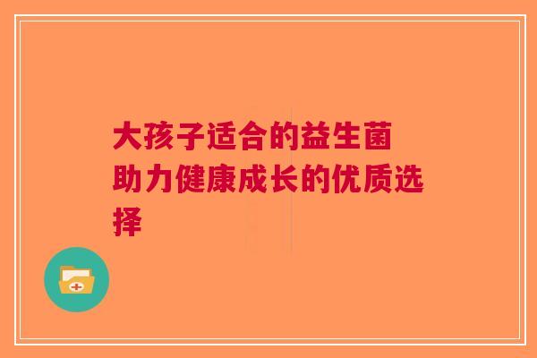 大孩子适合的益生菌 助力健康成长的优质选择