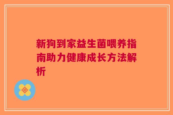 新狗到家益生菌喂养指南助力健康成长方法解析