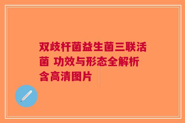 双歧杆菌益生菌三联活菌 功效与形态全解析含高清图片