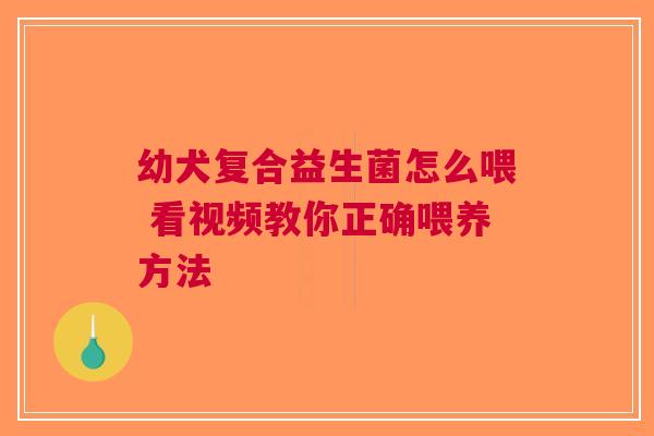 幼犬复合益生菌怎么喂 看视频教你正确喂养方法