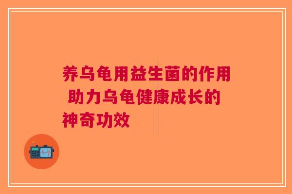 养乌龟用益生菌的作用 助力乌龟健康成长的神奇功效