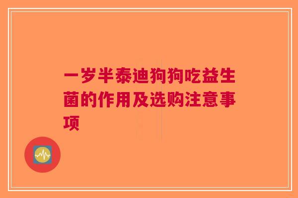 一岁半泰迪狗狗吃益生菌的作用及选购注意事项 一岁半泰迪狗狗吃益生菌的作用及选购注意事项