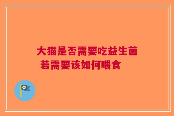 大猫是否需要吃益生菌 若需要该如何喂食