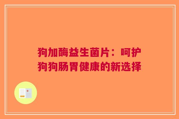 狗加酶益生菌片:呵护狗狗肠胃健康的新选择 狗加酶益生菌片:呵护狗狗肠胃健康的新选择