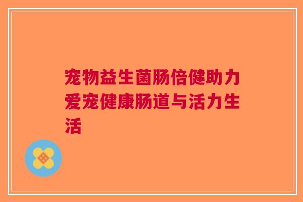 宠物益生菌肠倍健助力爱宠健康肠道与活力生活