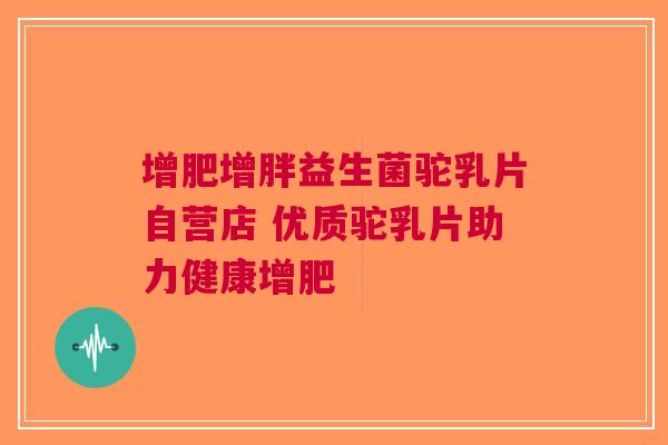 增肥增胖益生菌驼乳片自营店 优质驼乳片助力健康增肥