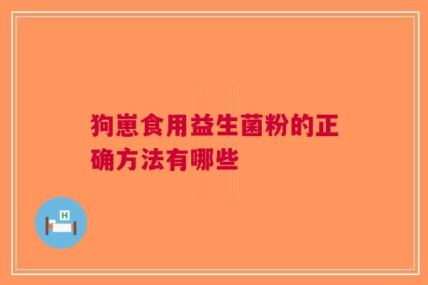 狗崽食用益生菌粉的正确方法有哪些