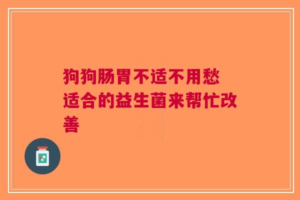 狗狗肠胃不适不用愁 适合的益生菌来帮忙改善