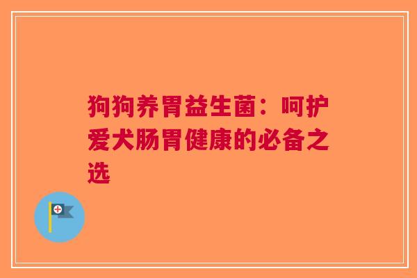 狗狗养胃益生菌：呵护爱犬肠胃健康的必备之选