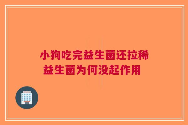 小狗吃完益生菌还拉稀 益生菌为何没起作用