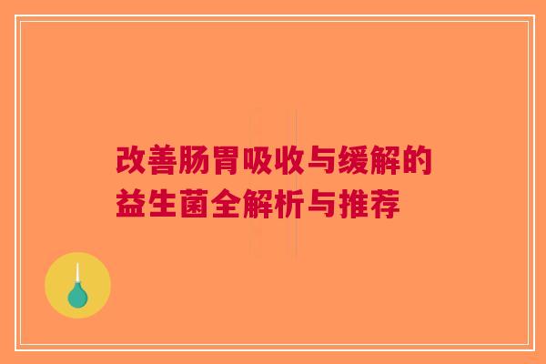 改善肠胃吸收与缓解的益生菌全解析与推荐