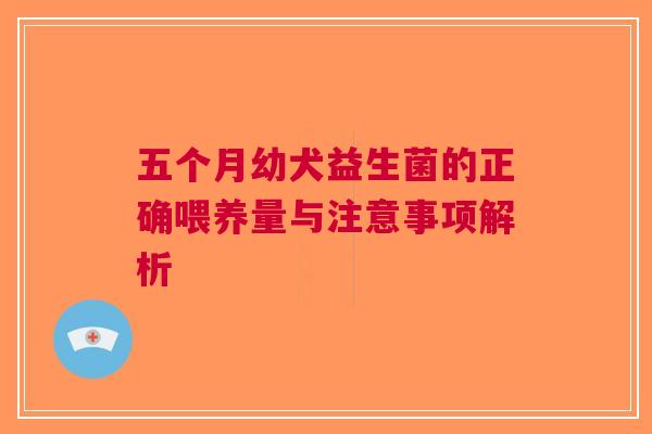五个月幼犬益生菌的正确喂养量与注意事项解析