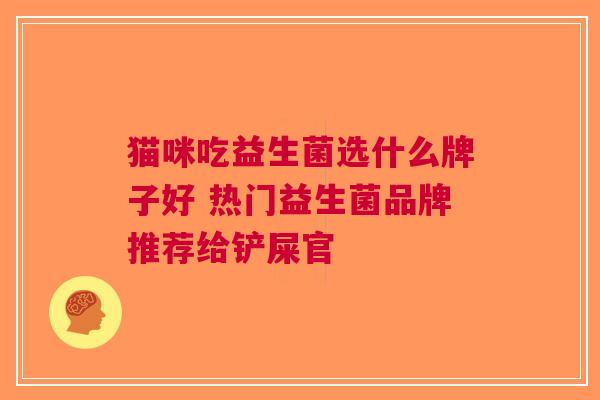猫咪吃益生菌选什么牌子好 热门益生菌品牌推荐给铲屎官