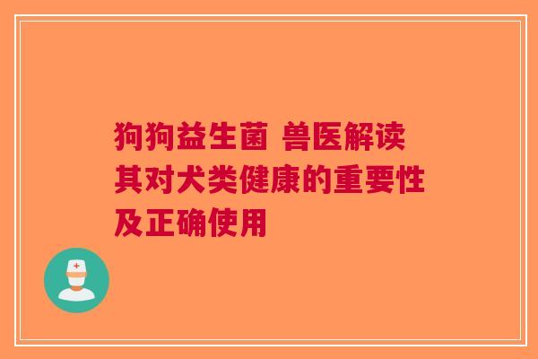 狗狗益生菌 兽医解读其对犬类健康的重要性及正确使用
