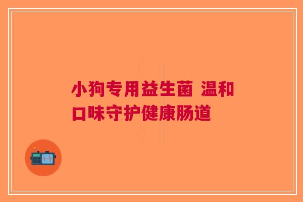 小狗专用益生菌 温和口味守护健康肠道