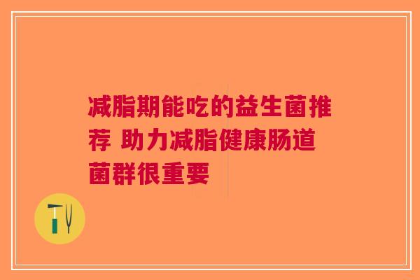 减脂期能吃的益生菌推荐 助力减脂健康肠道菌群很重要