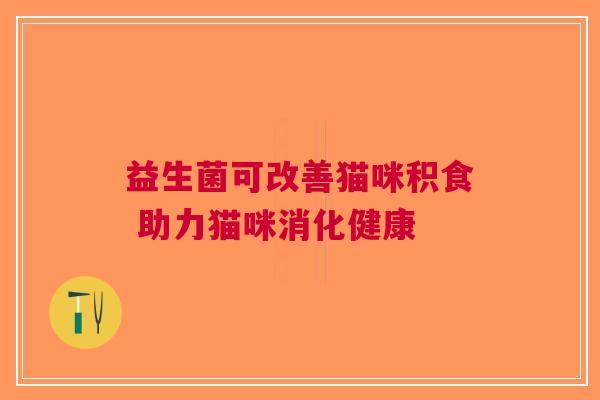 益生菌可改善猫咪积食 助力猫咪消化健康