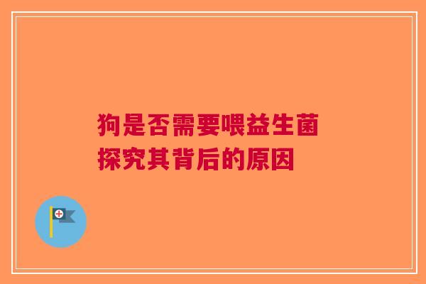 狗是否需要喂益生菌 探究其背后的原因
