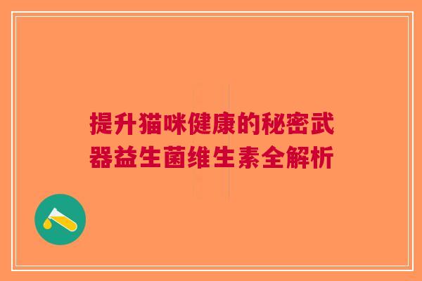 提升猫咪健康的秘密武器益生菌维生素全解析