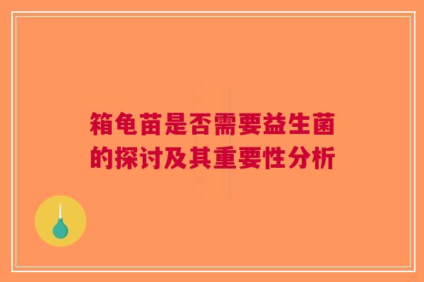 箱龟苗是否需要益生菌的探讨及其重要性分析