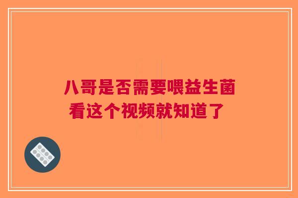 八哥是否需要喂益生菌 看这个视频就知道了