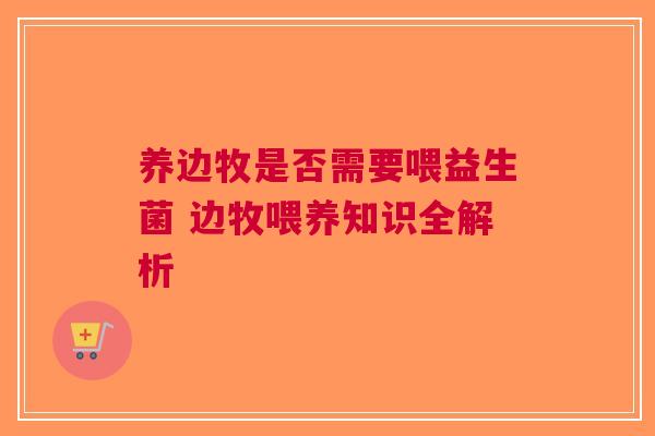 养边牧是否需要喂益生菌 边牧喂养知识全解析