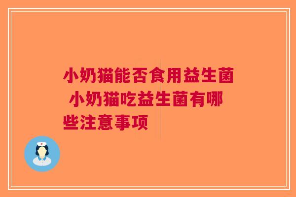 小奶猫能否食用益生菌 小奶猫吃益生菌有哪些注意事项