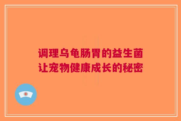 调理乌龟肠胃的益生菌让宠物健康成长的秘密