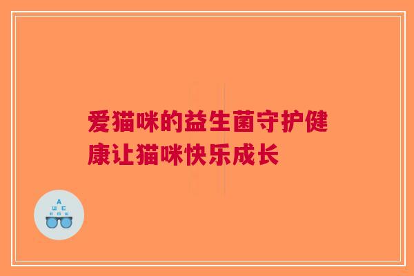 爱猫咪的益生菌守护健康让猫咪快乐成长