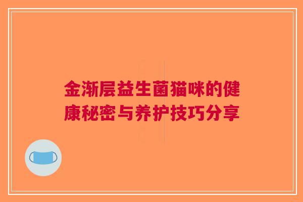 金渐层益生菌猫咪的健康秘密与养护技巧分享