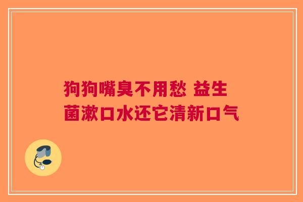 狗狗嘴臭不用愁 益生菌漱口水还它清新口气