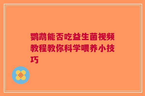 鹦鹉能否吃益生菌视频教程教你科学喂养小技巧