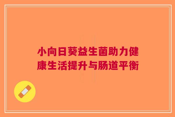 小向日葵益生菌助力健康生活提升与肠道平衡