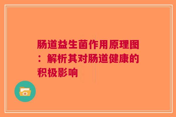 肠道益生菌作用原理图：解析其对肠道健康的积极影响